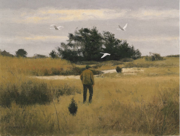 Swans Over the Marsh