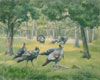 Season of the Wild Turkeys