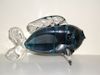 Glass Fish