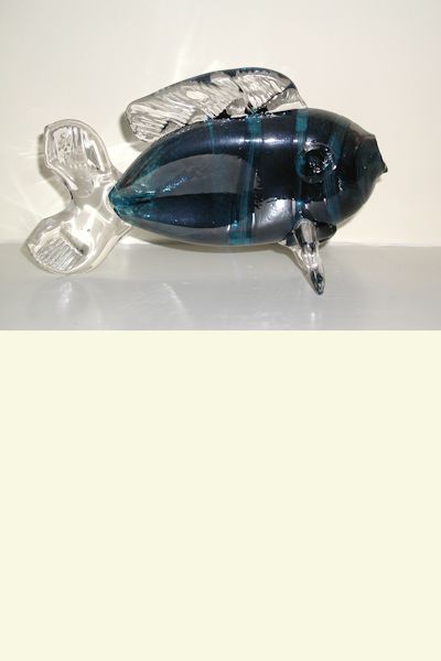 Glass Fish